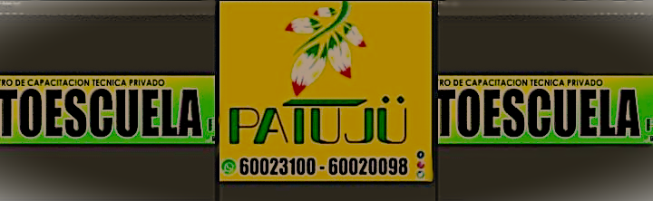 Bienvenido a Autoescuela Patuju